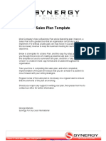 Sales Plan Template 17