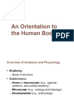 Orientatioin of The Human Body