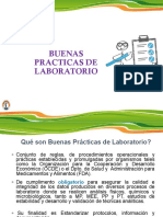 Capacitación en BPL PDF