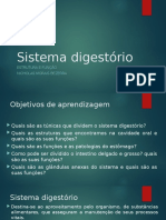 Sistema Digestório