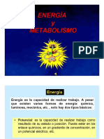 1a-Metabolismo FAF