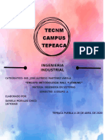 Metodologia de Hall y Jenking ENSAYO