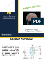 SISTEMA NERVIOSO UNIMINUTO Def-11