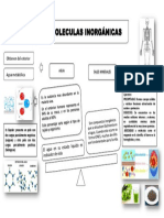 (Rocio Raime) - Biomoleculas Inorganicas