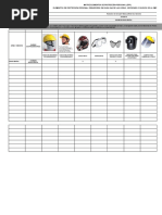 Anexo B - Matriz Elementos de Protección Personal (EPP) Diana