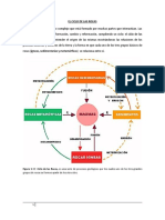 Ciclo de Las Rocas