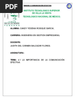 4.1 LA IMPORTANCIA DE LA COMUNICACION EFECTIVA Candy Y. Rosique G.