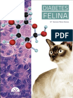 Diabetes Felina