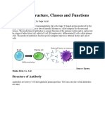 Antibody-Structure, Classes and Functions