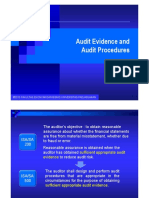 Audit Evidence PDF