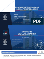 Presentación Bases Neurofisiologicas para La Psicopedagogia PEV 03-04