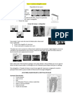 Tema 2 CLASE IMAGENOLOGIA