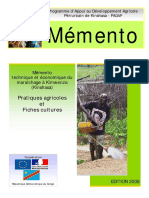 Memento RDC Vf2