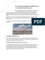 Contaminación Del Medio Ambiente en La Ciudad de Juliaca