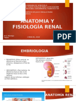 Anatomia y Fisiología Renal