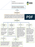 Diagrama de Flujo - Práctica 1