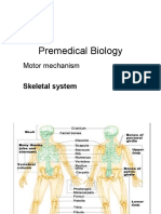 Premedical Biology: Motor Mechanism