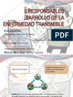 Factores Responsables Del Desarrollo de La Enfermedad Transmible