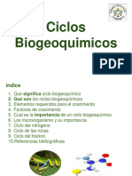 Ciclos Biogeoquimicos