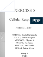 Exercise 8: Cellular Respiration