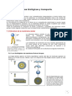 Tema 7. Membranas Plasmáticas