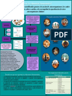 Infografía. Fermentación