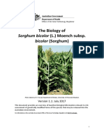 Sorghum Biology Version