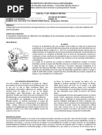 PDF Documento