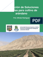 3 Formulacion Arandanos Ica 2019