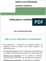 11.-Indicadores Ambientales