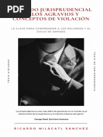 Conceptos de Violación PDF