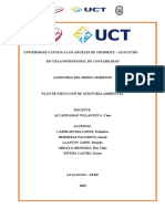 El Plan de Ejecucion de Auditoria Ambiental