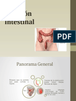 Oclusión Intestinal Hecha