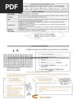 Sociales Semana 9