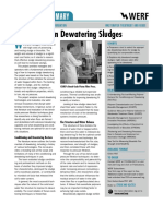 Innovations in Dewatering Sludges