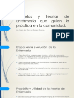 Modelos y Teorías de Enfermería Que Guían La Práctica en La Comunidad