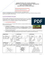 Guia 2 - Grado 5 - Ciencias Naturales