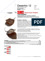 DES12 UT10 X AM 2019-2020