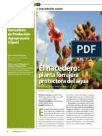 Nacedero PDF