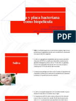 Unidad 2 Saliva y Placa Bacteriana Como Biopelícula