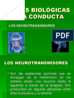 NEUROTRANSMISORES