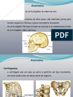 9134 - Anatomia 80-130