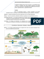 Actividades Sobre Ecosistemas