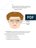 Paranasal Sinuses