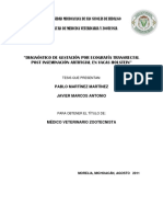 Diagnostico de Gestacion Por Ecografia PDF