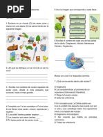 Taller y Evaluacion Refuerzo 3°