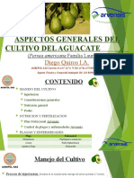 Aspectos Generales Del Cultivo Del Aguacate