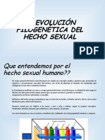 Explicacion Del Hecho Sexual Humano