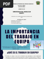 Importancia Del Trabajo en Equipo