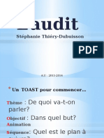 L'audit Stéphanie Thiéry-Dubuisson